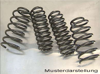 EIBACH Pro-Kit BMW 3er E36 Touring 30mm mit ABE